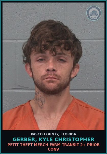 CCW arrest card for GERBER, KYLE CHRISTOPHER in Pasco County: PETIT THEFT MERCH FARM TRANSIT 2+ PRIOR CONV