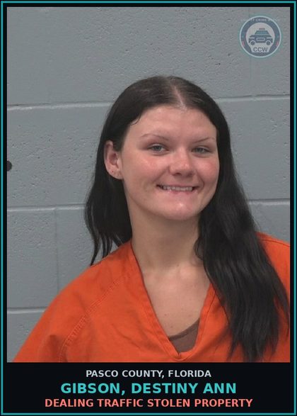 CCW arrest card for GIBSON, DESTINY ANN in Pasco County: DEALING TRAFFIC STOLEN PROPERTY