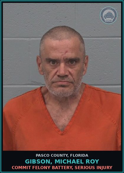 CCW arrest card for GIBSON, MICHAEL ROY in Pasco County: COMMIT FELONY BATTERY, SERIOUS INJURY