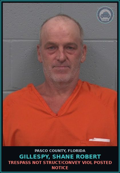 CCW arrest card for GILLESPY, SHANE ROBERT in Pasco County: TRESPASS NOT STRUCT/CONVEY VIOL POSTED NOTICE