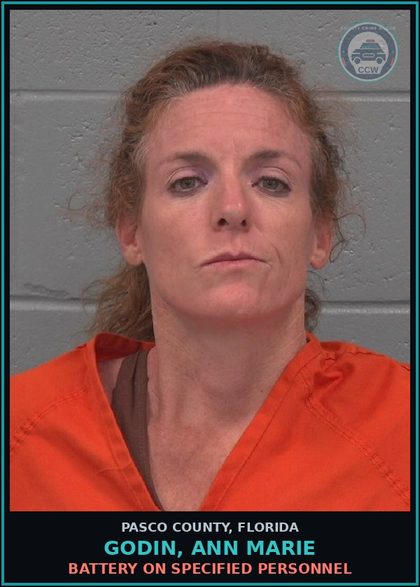 CCW arrest card for GODIN, ANN MARIE in Pasco County: RESIST OFFICER WITH VIOLENCE