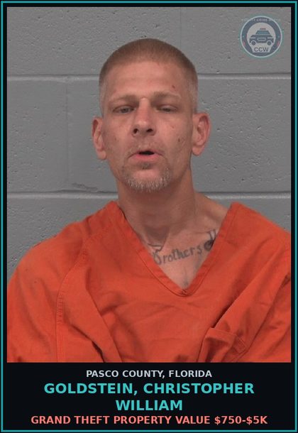 CCW arrest card for GOLDSTEIN, CHRISTOPHER WILLIAM in Pasco County: GRAND THEFT PROPERTY VALUE $750-$5K
