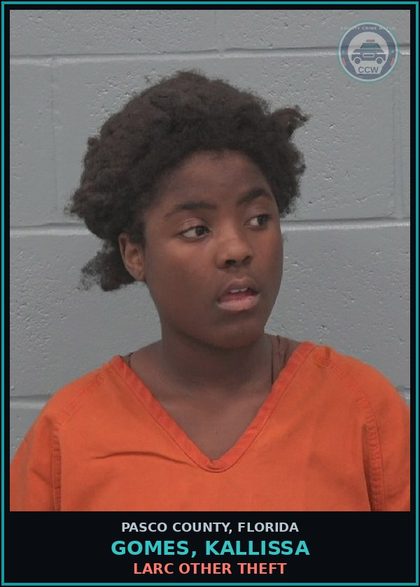 CCW arrest card for GOMES, KALLISSA in Pasco County: LARC OTHER THEFT