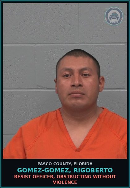 CCW arrest card for GOMEZ-GOMEZ, RIGOBERTO in Pasco County: RESIST OFFICER, OBSTRUCTING WITHOUT VIOLENCE