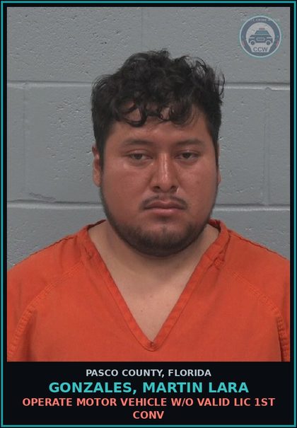 CCW arrest card for GONZALES, MARTIN LARA in Pasco County: OPERATE MOTOR VEHICLE W/O VALID LIC 1ST CONV