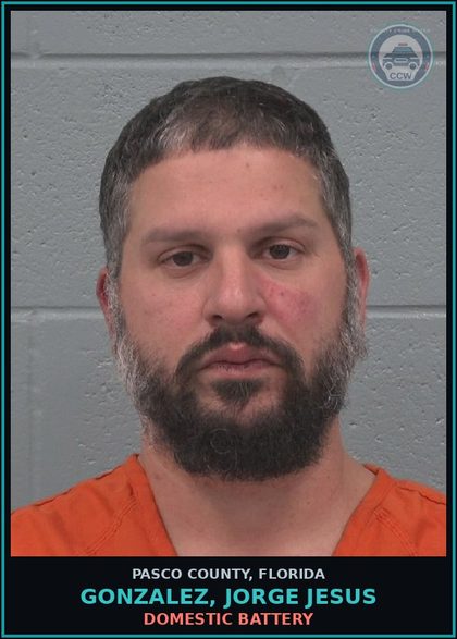CCW arrest card for GONZALEZ, JORGE JESUS in Pasco County: DOMESTIC BATTERY