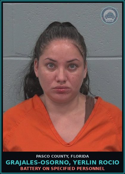 CCW arrest card for GRAJALES-OSORNO, YERLIN ROCIO in Pasco County: BATTERY ON SPECIFIED PERSONNEL