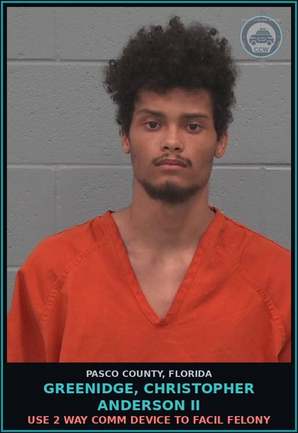 CCW arrest card for GREENIDGE, CHRISTOPHER ANDERSON II in Pasco County: OBSCENE MATERIAL-DISTRIB TRANSMIT INFO HARMFUL TO MINORS