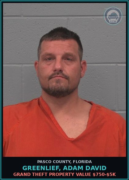 CCW arrest card for GREENLIEF, ADAM DAVID in Pasco County: GRAND THEFT PROPERTY VALUE $750-$5K