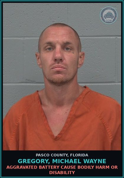 CCW arrest card for GREGORY, MICHAEL WAYNE in Pasco County: AGGRAVATED BATTERY CAUSE BODILY HARM OR DISABILITY
