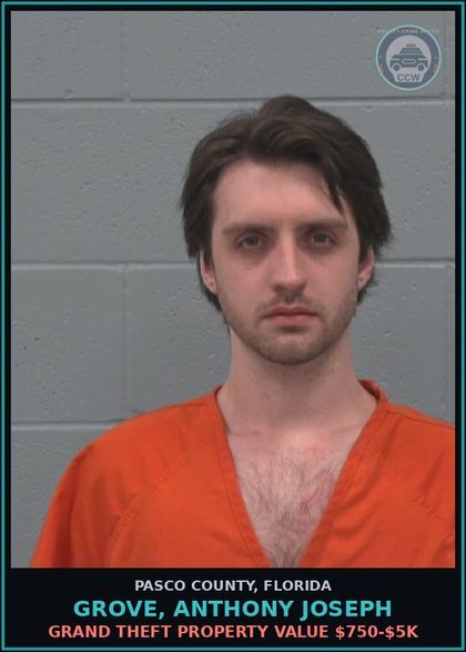 CCW arrest card for GROVE, ANTHONY JOSEPH in Pasco County: GRAND THEFT PROPERTY VALUE $750-$5K