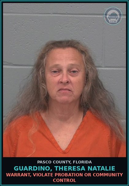 CCW arrest card for GUARDINO, THERESA NATALIE in Pasco County: WARRANT, VIOLATE PROBATION OR COMMUNITY CONTROL
