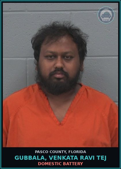 CCW arrest card for GUBBALA, VENKATA RAVI TEJ in Pasco County: DOMESTIC BATTERY