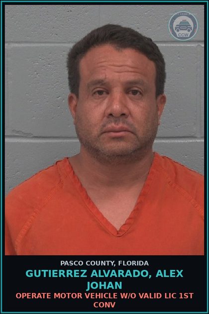 CCW arrest card for GUTIERREZ ALVARADO, ALEX JOHAN in Pasco County: OPERATE MOTOR VEHICLE W/O VALID LIC 1ST CONV