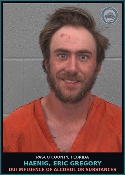 CCW arrest card for HAENIG, ERIC GREGORY in Pasco County: DUI INFLUENCE OF ALCOHOL OR DRUGS