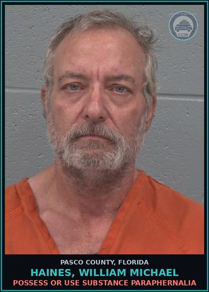 CCW arrest card for HAINES, WILLIAM MICHAEL in Pasco County: POSSESS OR USE DRUG PARAPHERNALIA