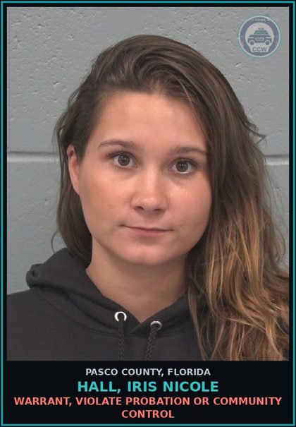 CCW arrest card for HALL, IRIS NICOLE in Pasco County: WARRANT, VIOLATE PROBATION OR COMMUNITY CONTROL