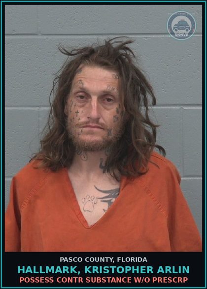 CCW arrest card for HALLMARK, KRISTOPHER ARLIN in Pasco County: POSSESS contr substance W/O PRESCRIPTION