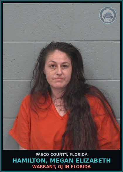 CCW arrest card for HAMILTON, MEGAN ELIZABETH in Pasco County: WARRANT, OJ IN FLORIDA