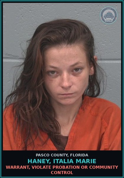 CCW arrest card for HANEY, ITALIA MARIE in Pasco County: WARRANT, VIOLATE PROBATION OR COMMUNITY CONTROL