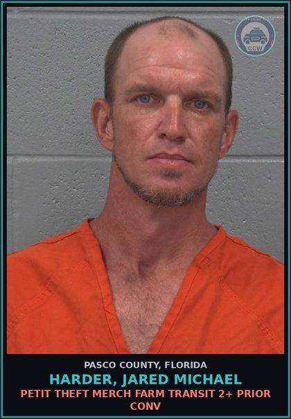 CCW arrest card for HARDER, JARED MICHAEL in Pasco County: PETIT THEFT MERCH FARM TRANSIT 2+ PRIOR CONV