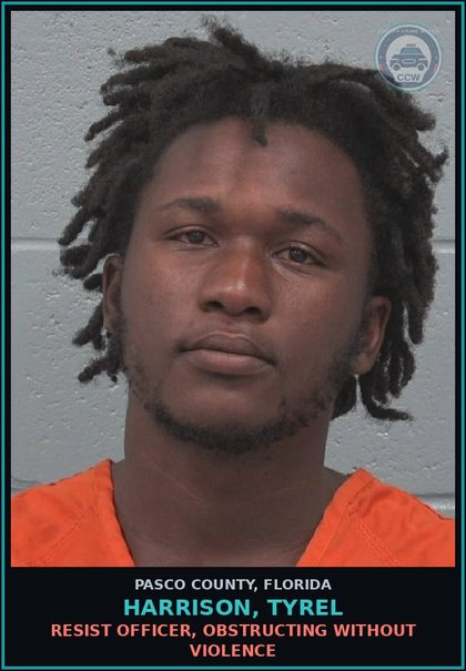 CCW arrest card for HARRISON, TYREL in Pasco County: RESIST OFFICER, OBSTRUCTING WITHOUT VIOLENCE