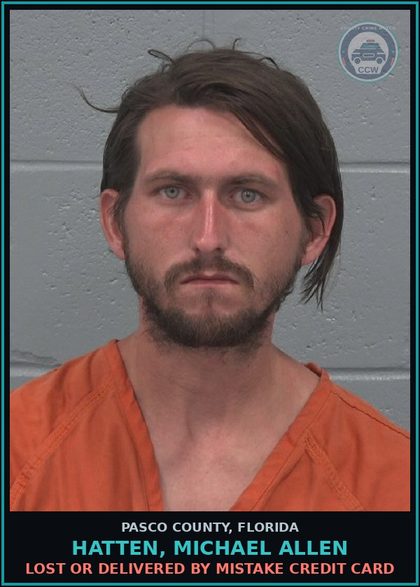 CCW arrest card for HATTEN, MICHAEL ALLEN in Pasco County: LOST OR DELIVERED BY MISTAKE CREDIT CARD