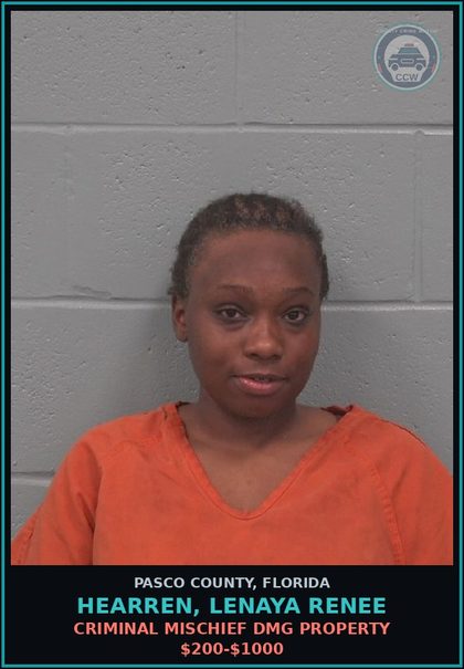 CCW arrest card for HEARREN, LENAYA RENEE in Pasco County: CRIMINAL MISCHIEF DMG PROPERTY $200-$1000