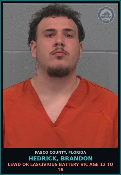 CCW arrest card for HEDRICK, BRANDON in Pasco County: LEWD OR LASCIVIOUS BATTERY VICTIM AGE 12 TO 16