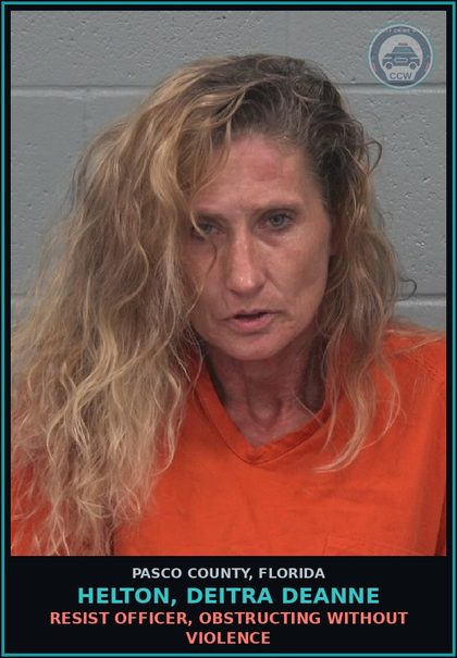 CCW arrest card for HELTON, DEITRA DEANNE in Pasco County: POSSESS contr substance W/O PRESCRIPTION