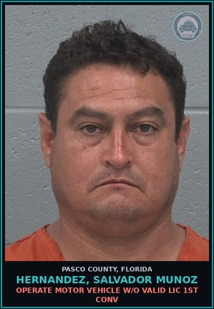 CCW arrest card for HERNANDEZ, SALVADOR MUNOZ in Pasco County: OPERATE MOTOR VEHICLE W/O VALID LIC 1ST CONV