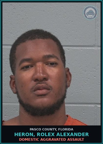 CCW arrest card for HERON, ROLEX ALEXANDER in Pasco County: DOMESTIC AGGRAVATED ASSAULT
