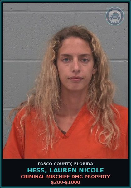 CCW arrest card for HESS, LAUREN NICOLE in Pasco County: CRIMINAL MISCHIEF DMG PROPERTY $200-$1000