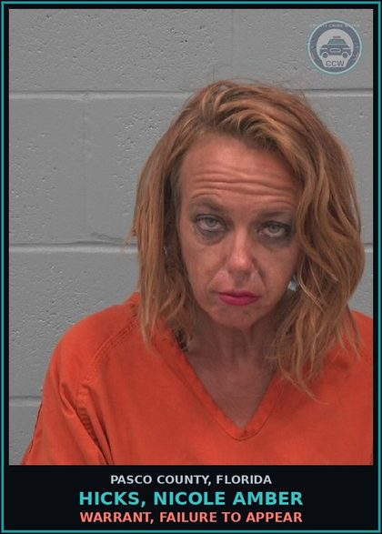 CCW arrest card for HICKS, NICOLE AMBER in Pasco County: WARRANT, FAILURE TO APPEAR