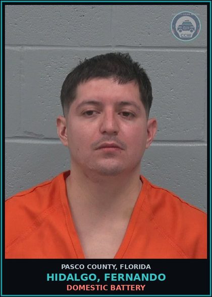 CCW arrest card for HIDALGO, FERNANDO in Pasco County: DOMESTIC BATTERY