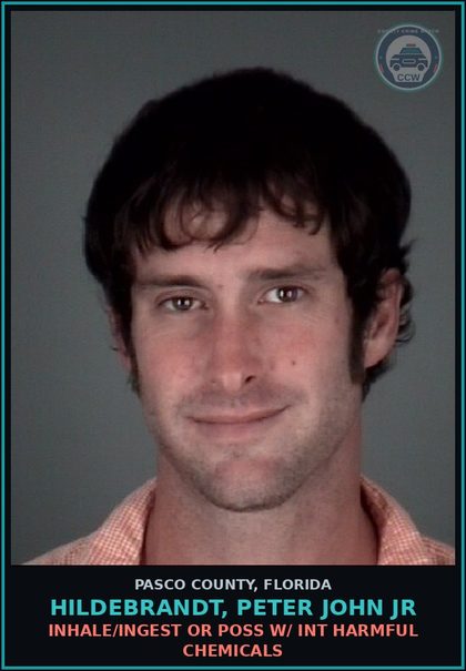 CCW arrest card for HILDEBRANDT, PETER JOHN JR in Pasco County: INHALE/INGEST OR POSS W/ INT HARMFUL CHEMICALS