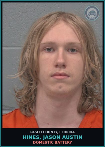 CCW arrest card for HINES, JASON AUSTIN in Pasco County: DOMESTIC BATTERY