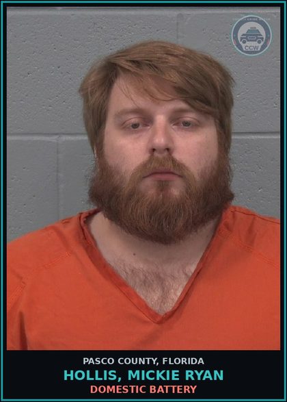 CCW arrest card for HOLLIS, MICKIE RYAN in Pasco County: DOMESTIC BATTERY