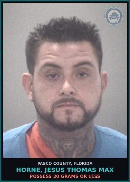 CCW arrest card for HORNE, JESUS THOMAS MAX in Pasco County: POSSESS 20 GRAMS OR LESS