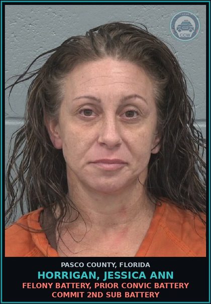 CCW arrest card for HORRIGAN, JESSICA ANN in Pasco County: FELONY BATTERY, PRIOR CONVIC BATTERY COMMIT 2ND SUB BATTERY
