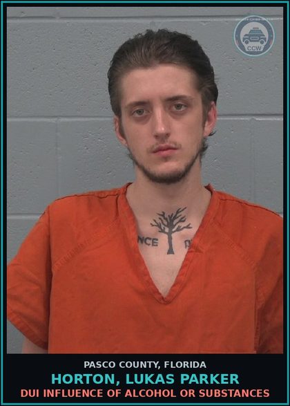 CCW arrest card for HORTON, LUKAS PARKER in Pasco County: DUI INFLUENCE OF ALCOHOL OR DRUGS
