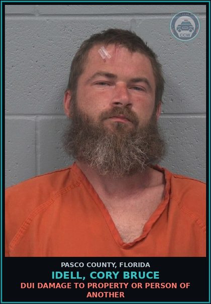 CCW arrest card for IDELL, CORY BRUCE in Pasco County: DUI DAMAGE TO PROPERTY OR PERSON OF ANOTHER