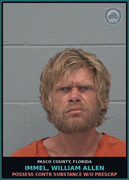 CCW arrest card for IMMEL, WILLIAM ALLEN in Pasco County: POSSESS contr substance W/O PRESCRIPTION
