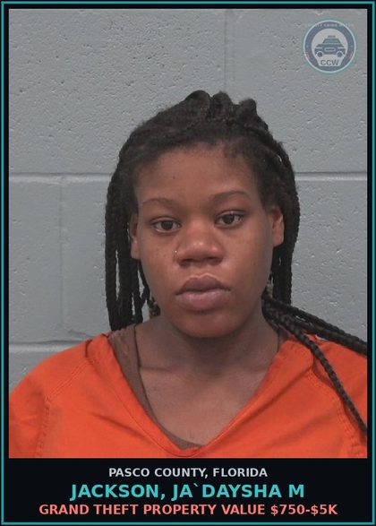 CCW arrest card for JACKSON, JA`DAYSHA M in Pasco County: GRAND THEFT PROPERTY VALUE $750-$5K