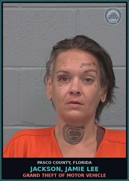 CCW arrest card for JACKSON, JAMIE LEE in Pasco County: GRAND THEFT OF MOTOR VEHICLE