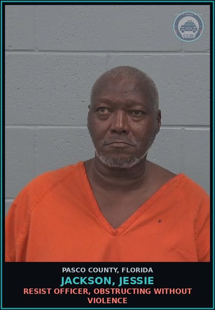 CCW arrest card for JACKSON, JESSIE in Pasco County: RESIST OFFICER, OBSTRUCTING WITHOUT VIOLENCE