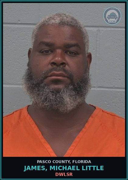 CCW arrest card for JAMES, MICHAEL LITTLE in Pasco County: DWLSR