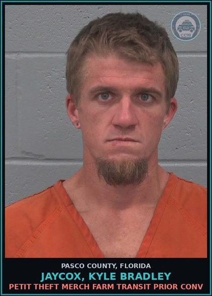 CCW arrest card for JAYCOX, KYLE BRADLEY in Pasco County: PETIT THEFT MERCH FARM TRANSIT PRIOR CONV
