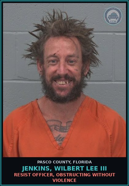 CCW arrest card for JENKINS, WILBERT LEE III in Pasco County: RESIST OFFICER, OBSTRUCTING WITHOUT VIOLENCE
