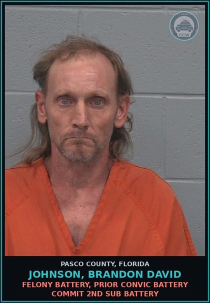 CCW arrest card for JOHNSON, BRANDON DAVID in Pasco County: FELONY BATTERY, PRIOR CONVIC BATTERY COMMIT 2ND SUB BATTERY